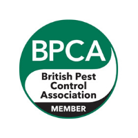 Exterminator BPCA in Derby England