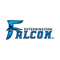Exterminator Extermination Falcon in Montréal QC