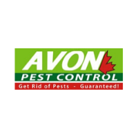 Exterminator Avon Pest Control in Surrey BC